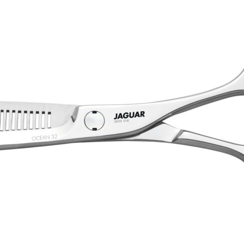 Jaguar Silver Line Ocean 32 6.0