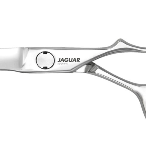 Jaguar Silver Line Mira