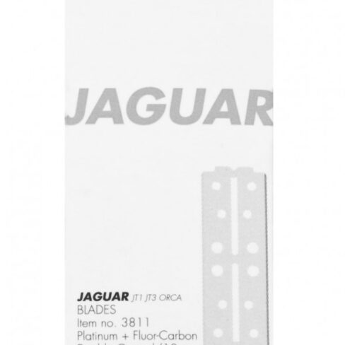 Jaguar JT 1