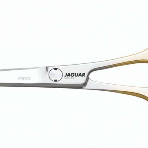 Jaguar Silver Line Perfect