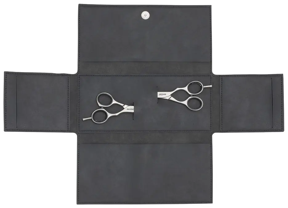 Jaguar Two Scissor Case (Only)