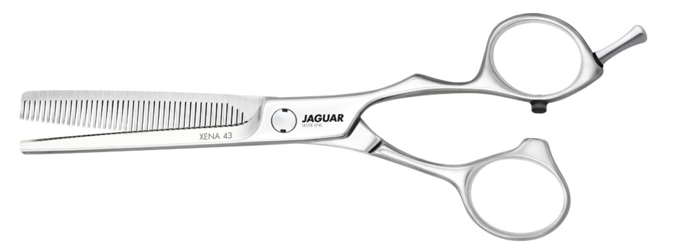 Jaguar Silver Line Xena 43 6.0