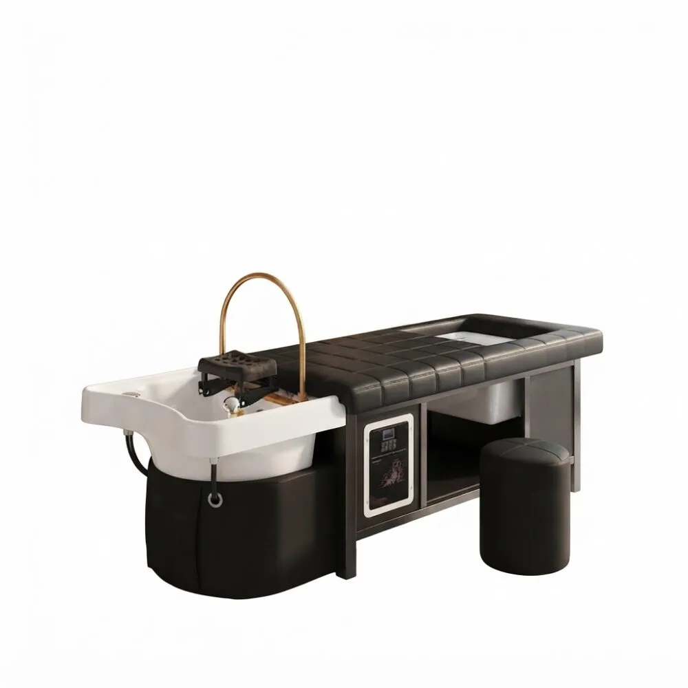Japanese Hydro Spa Bed 4-in-1- Electronic | Black