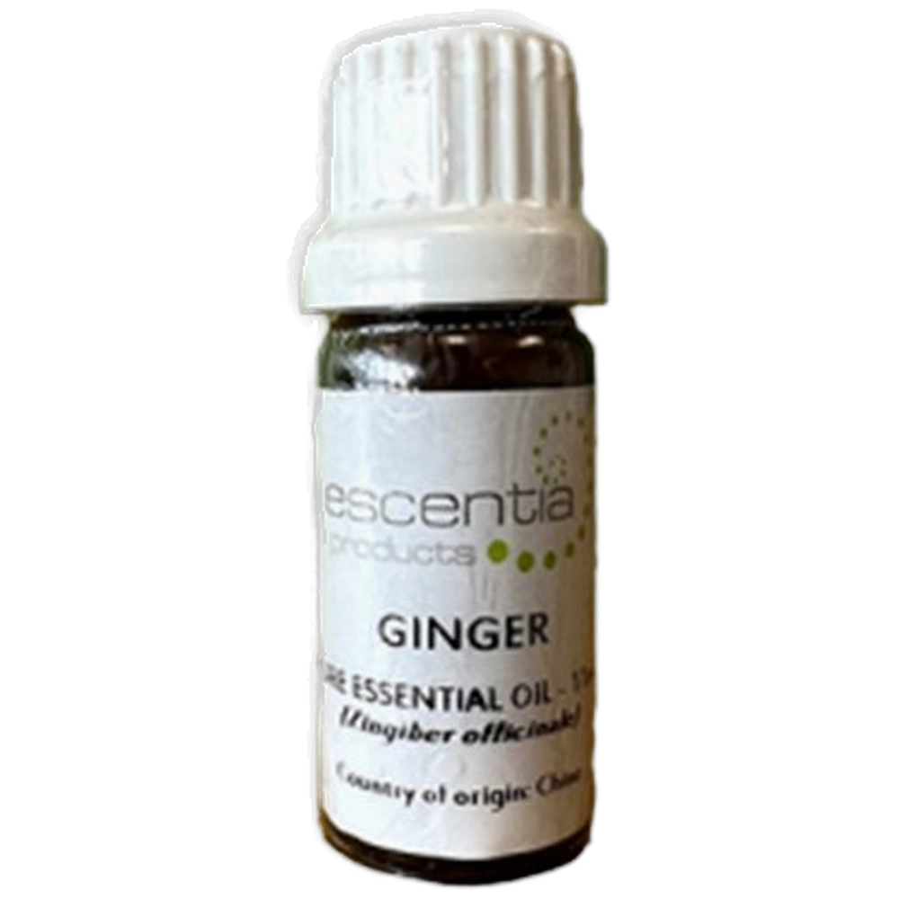 Essential Oil Ginger 11ml